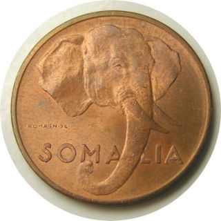 Elf Somalia 5 Centesimi 1950 Elephant