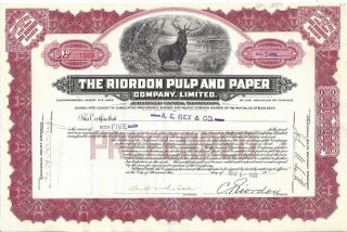 The Riordon Pulp And Paper Company Limited (canada).  1921 Stock Certificate