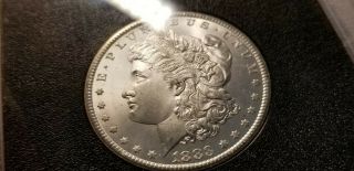 $1 1883 CC Morgan Silver Dollar GSA NGC GEM MS65,  COIN 6