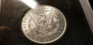 $1 1883 CC Morgan Silver Dollar GSA NGC GEM MS65,  COIN 7