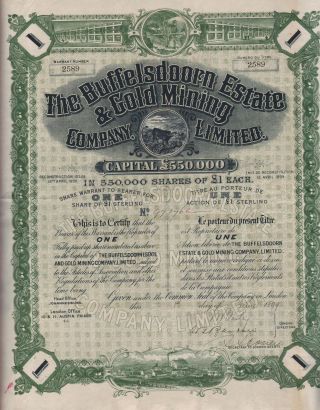 South Africa Buffelsdoorn Gold Mining Company Stock Certificate 1899 1sh