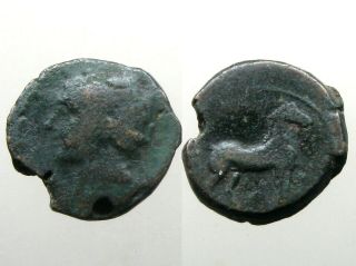 Carthage Zeugitana Bronze Ae19_tanit / Horse_queen Dido / Punic Wars