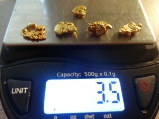 5 California Gold Nuggets 3.  5 Grams Pickers Coloma,  Ca.  - Gold 1st.  Discovered