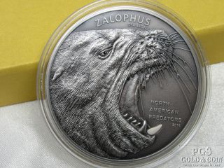 2016 $10 Cook Islands 2 Ounce Silver Coin Sea Lion Zalophus Box & 14626
