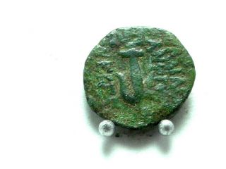 Judaea,  Seleucid Coin Under Hyrcanus I,  Antiochus Vii.  132 - 130 Bce.  Ae13; 2.  6g.  Vf.