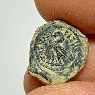 Ancient Greek Ptolemy Bronze Coin Of Ptolemy Viii 145 - 88 2.  4gr 17.  1mm