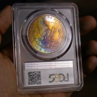 1883 - O Pcgs Ms64 Rainbow Toned Morgan Dollar,  Pcgs Shield,  Cac