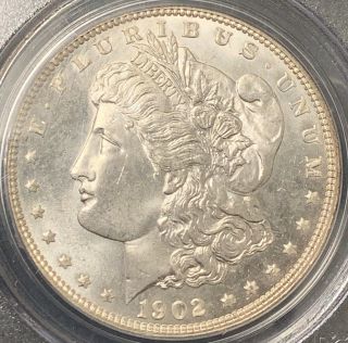 1902 S$1 Morgan Silver Dollar PCGS MS65 AH446 2
