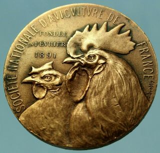 1891 Antique Bronze Art Medal The Poultry Animals By E.  Dropsy