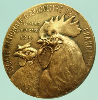 1891 ANTIQUE BRONZE ART MEDAL THE POULTRY ANIMALS by E.  DROPSY 2
