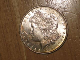 Us 1882 O Silver Morgan Dollar Coin Extremely Fine