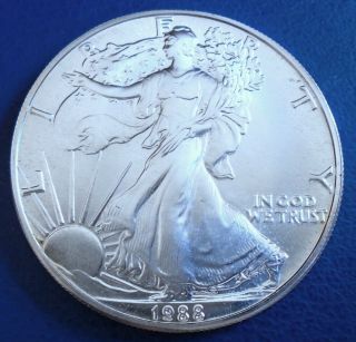 Usa 1988 One Dollar Eagle,  1 Troy Ounce Of Pure Silver,  Capsule - Top Grade