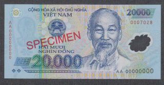 Vietnam 20000 Dong Polymer Specimen Banknote P - 120s Unc