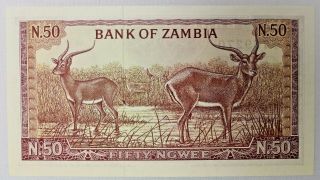 Bank of Zambia 50 Ngwee Bank Note 1968 Pick 4a 2