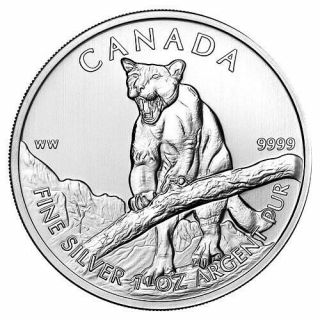 2012 Canada $5 Cougar 1 Oz.  9999 Silver 5 Dollars Elizabeth Ii Coin