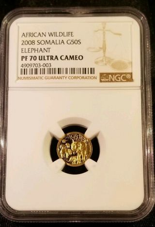 Somalia 2008 50 Shillings Gold Coin - Elephant African Wildlife - Ngc Pf - 70