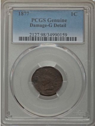 1877 1c Indian Head Cents Pcgs Good Details - Indian Head Penny