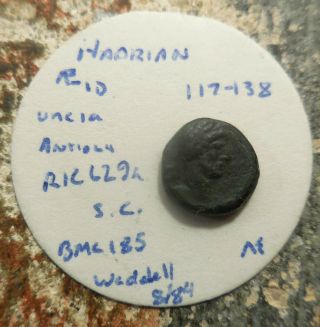 Hadrian.  117 - 138 Ad.  9.  5mm Uncia Sharp Bust/ Imperial Issue Senatu Consulto Sc