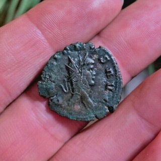 Scarce Ancient Roman Coin Antoninianus Gallienus 267/8ad Panther Ric230 2.  8g