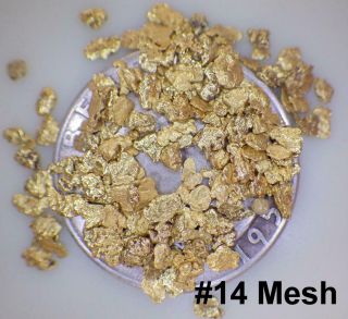 Gold Nuggets 4,  Grams Alaska Placer 14 Circle District Jewelers Overlay Hi Pure
