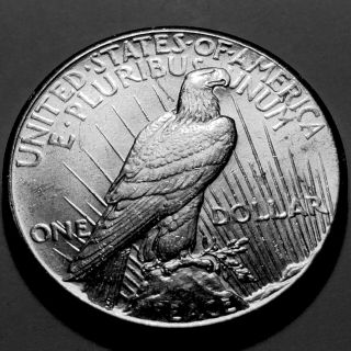1928 - P Peace Silver Dollar Ch/Gem BU King of the Peace Dollars 2