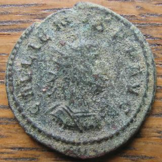 Large & Uncleaned Gallienus Aeqvitas Avg Antoninianus