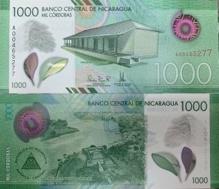 Nicaragua 1000 1,  000 Cordobas 2019 Polymer P Unc