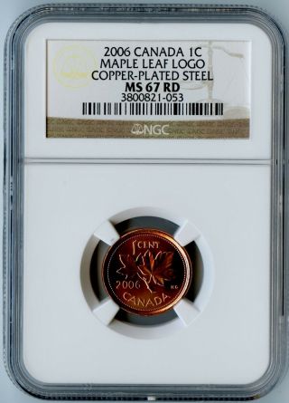 2006 Canada Ngc Ms67 Rd Maple Leaf Logo Copper Plated Steel Penny Top Pop