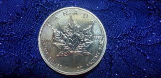 Canadian Silver Maple Leaf $5 Coin (2008) - -