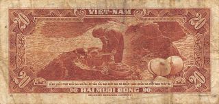 Viet Nam S.  20 Dong Nd.  1962 P 6a Series 22 - A Circulated Banknote 2lb2
