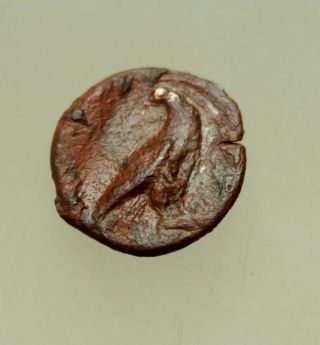 Sicily,  Akragas,  C.  287 - 279 Bc.  Æ17mm,  2.  1g Laureate Head Of Apollo / Eagle