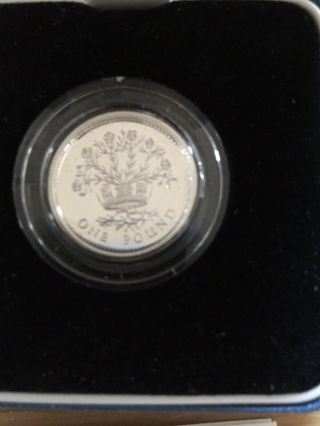 1991 United Kingdom Silver Proof One Pound Coin Box & 3