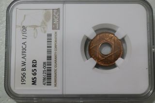 British West Africa,  Elisabeth Ii,  1/10 Penny 1956,  Ngc Ms65rd Very Rare B14 Cg3
