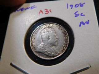A31 Canada Newfoundland 1908 5 Cents Au Trends 175 Cad In 90