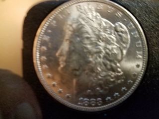 1883 - CC Morgan Silver dollar,  GSA Hoard,  Uc,  w/ ON 2