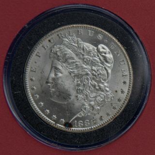 Morgan Silver Dollars 1883 CC and 1884 CC coins 2