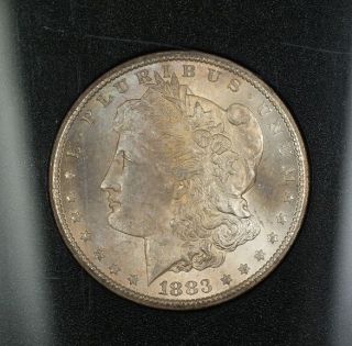 1883 - Cc Gsa Morgan Silver Dollar $1 Ngc Ms - 64 Obverse Toned W/ Box &