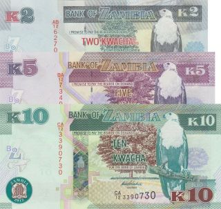 Zambia 3 Note Set: 2,  5 & 10 Kwacha (2012) - P49a,  P50a & P51a