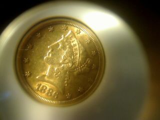 1886 - S U S Gold $5 Dollar Half Eagle,  Var.  2