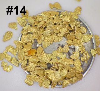 Gold Nuggets 3,  Grams Alaska Natural Placer 14 Mesh Jewelers Grade Hi Purity