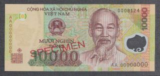 Vietnam 10000 Dong Polymer Specimen Banknote P - 119s Unc