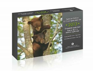 Canada 2013 Special Edition Black Bear Cub Specimen Coin Set Box And Papers