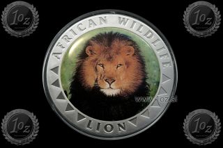 Liberia 5 Dollars 2000 (african Wildlife - Lion) Color Commemor.  Coin Proof