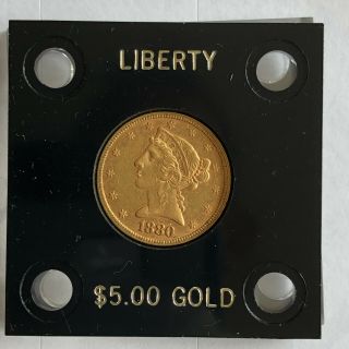 1880 P Coronet Head $5 Gold Half Eagle In Acrylic Holder.  Liberty Coin.