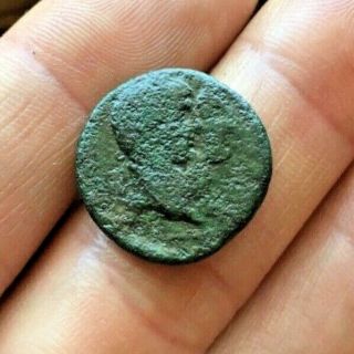 Rare Ancient Roman Coin Provincial Ionia Claudius,  Agrippina 49 - 50ad Stag 5.  62g