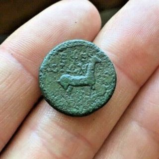 RARE Ancient Roman Coin Provincial IONIA CLAUDIUS,  AGRIPPINA 49 - 50AD STAG 5.  62g 3