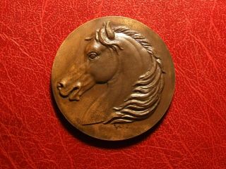 Hippiques Equestrian Horse Medal To Identify