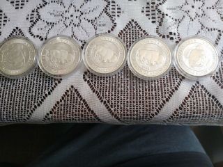 Silver Buffalo Coins Canada 1.  25 Oz Each 5 Total Coins