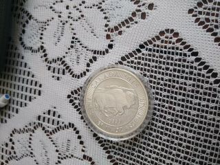 silver buffalo coins Canada 1.  25 oz each 5 total coins 2