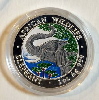 Somalia Elephant 2005 1 Oz Silver Color Coin 1000 Shillings Somali Elefant Farbe